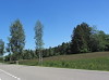 Andwiler Moos.jpg