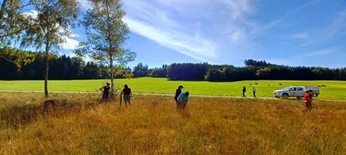 Erfolgreicher Frondiensttag der Ortsgemeinde Andwil